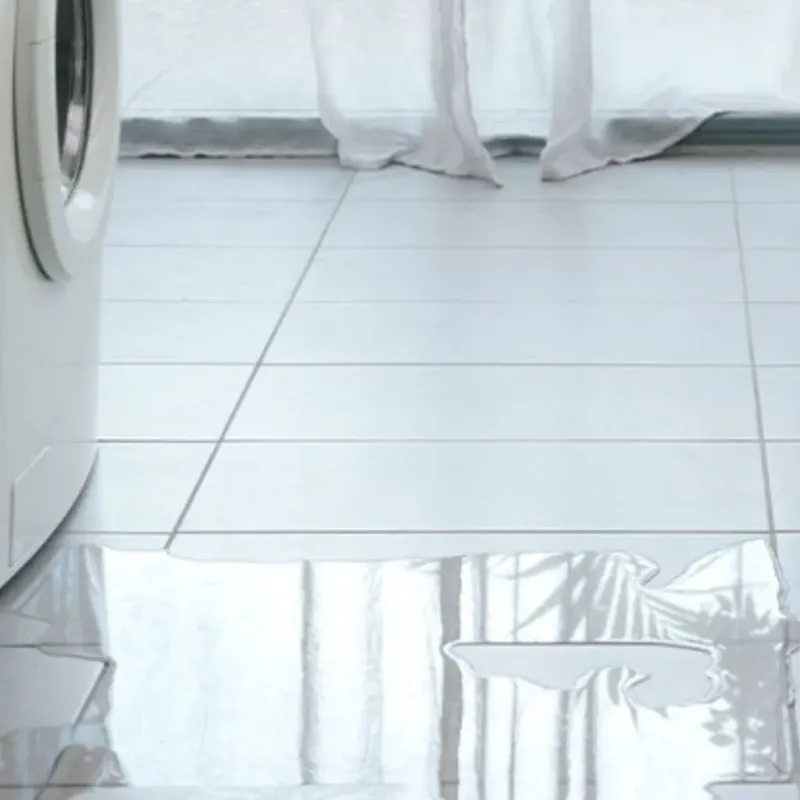 Appliance Leak Cleanup in Sibley, IA