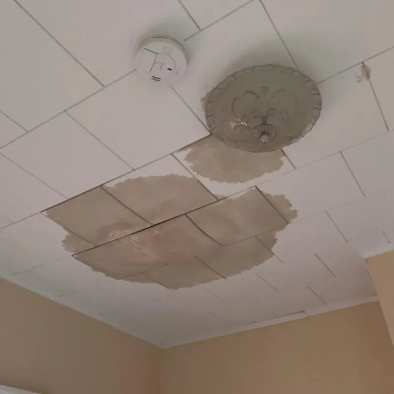 Ceiling Water Damage Repair in Sibley, IA