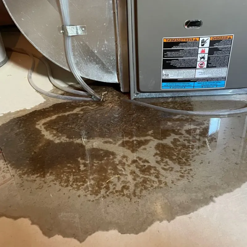Pipe Burst and Leak Restoration in Sibley, IA