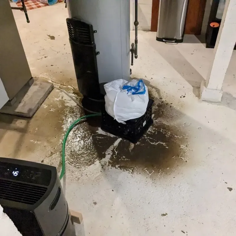 Sewage Backup Cleanup Service in Sibley, IA